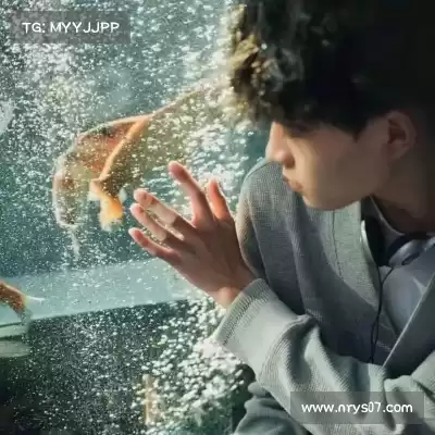 束鹏存